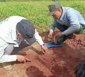 Lực lượng giải tỏa đất lâm nghiệp bị lấn chiếm giẫm phải &quot;bẫy kim tiêm&quot; gắn trên tấm gỗ