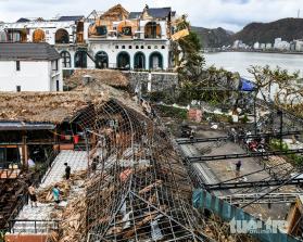 Thiệt hại tiền tỉ, chủ bungalow ở Cát Bà 'không biết phải phục hồi thế nào'