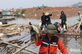 Bão ‘cuốn trôi’ 2.500 tỷ, nông dân có thể chuyển ngay sang trồng siêu thực phẩm