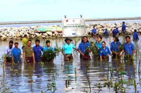  Thanh niên Cà Mau trồng 120.000 cây xanh chắn sóng 第2张