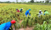  Thanh niên Lạng Sơn kịp thời giúp người dân vùng lũ 第16张