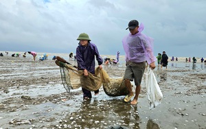 Nghệ An: Người dân Nghi Ân chung tay hỗ trợ tiêu thụ 9.000 con gà sau sự cố chập điện  第8张