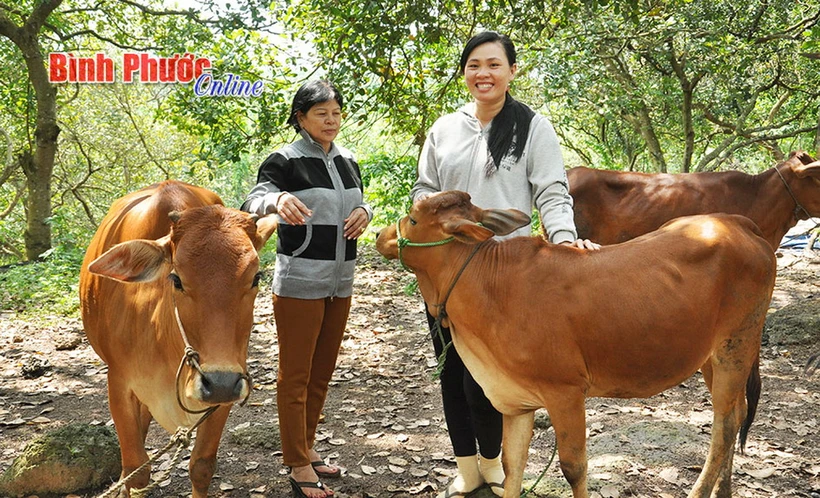  Bình Phước: Trao &quot;cần câu&quot; để người nghèo phát triển kinh tế bền vững 