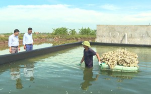 Trồng rau an toàn, làm ra nông sản một dân Ninh Bình đang gặp khó khăn, thách thức gì?  第10张