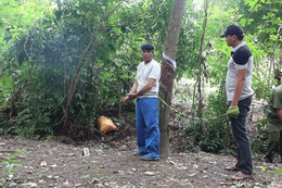 'Người yêu nhí' sinh con, thanh niên đi tù dù không phải con mình