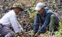  &apos;Nữ quái&apos; lừa đảo hàng tỷ đồng của bạn hương 第6张