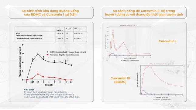  TPBVSK Curcumin BDMC50 - Tăng cường hiệu quả hỗ trợ bảo vệ sức khoẻ cho người Việt 