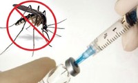  Bé trai 7 tuổi tử vong do sốt xuất huyết Dengue 第2张