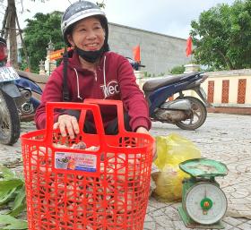 Nấm tràm là nấm gì mà béo núc ních, ăn càng đắng ngon, dân Quảng Bình kéo nhau vô rừng nhặt?  第2张