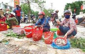 Nấm tràm là nấm gì mà béo núc ních, ăn càng đắng ngon, dân Quảng Bình kéo nhau vô rừng nhặt?  第4张